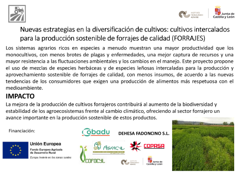 Nuevas estrategias en la diversificación de cultivos: cultivos intercalados para la producción sostenible de forrajes de calidad